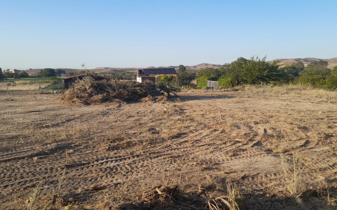 HUERTO EN SAMANES TARAZONA (ZARAGOZA)